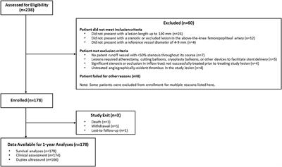 First peripheral drug-eluting stent clinical results from China: 1-year outcomes of the Zilver PTX China study